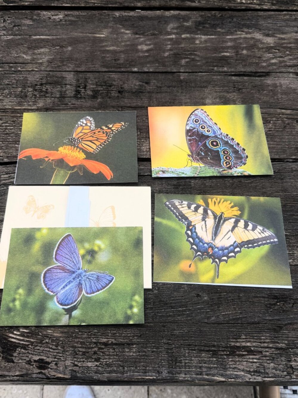 4 Vintage ENVIRONMENTAL DEFENSE FUND Monarch Butterflies Habitat Greeting Cards